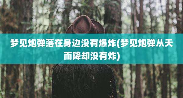 梦见炮弹落在身边没有爆炸(梦见炮弹从天而降却没有炸)