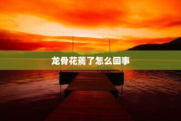龙骨花蔫了怎么回事