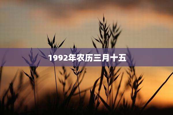 1992年农历三月十五