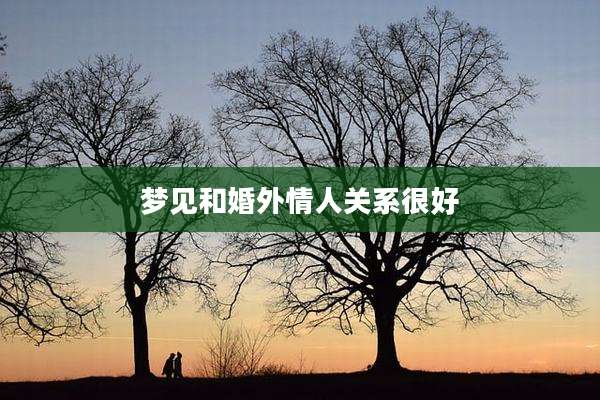梦见和婚外情人关系很好