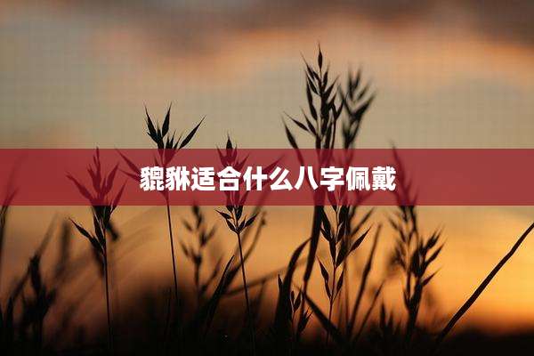 貔貅适合什么八字佩戴