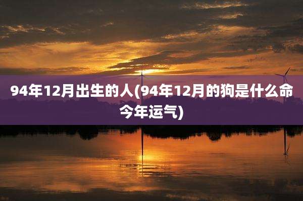 94年12月出生的人(94年12月的狗是什么命今年运气)