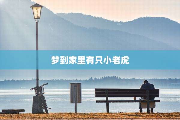 梦到家里有只小老虎