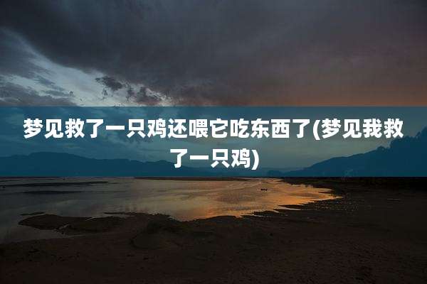 梦见救了一只鸡还喂它吃东西了(梦见我救了一只鸡)