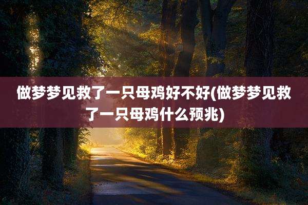 做梦梦见救了一只母鸡好不好(做梦梦见救了一只母鸡什么预兆)