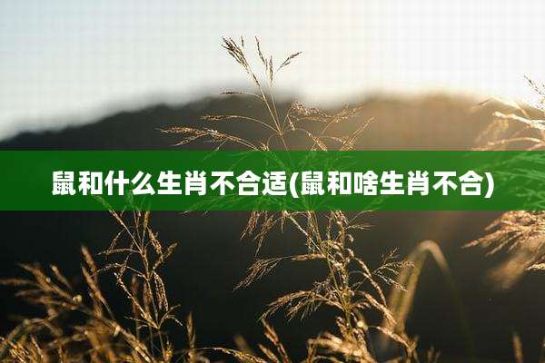 鼠和什么生肖不合适(鼠和啥生肖不合)