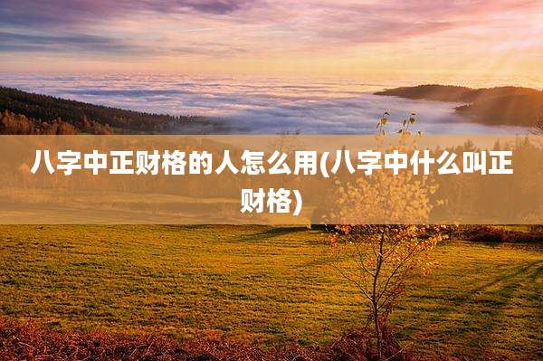 八字中正财格的人怎么用(八字中什么叫正财格)