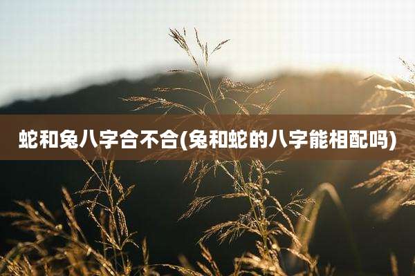 蛇和兔八字合不合(兔和蛇的八字能相配吗)
