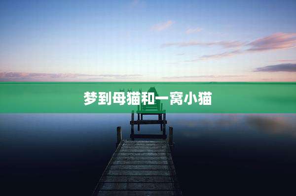 梦到母猫和一窝小猫