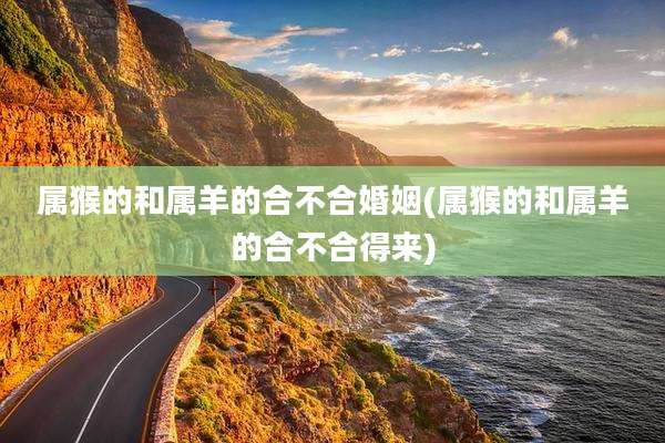 属猴的和属羊的合不合婚姻(属猴的和属羊的合不合得来)