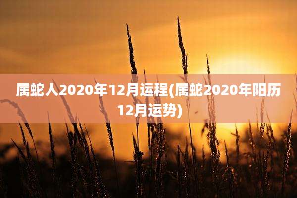 属蛇人2020年12月运程(属蛇2020年阳历12月运势)