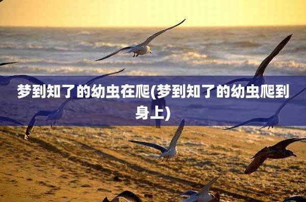 梦到知了的幼虫在爬(梦到知了的幼虫爬到身上)