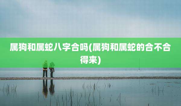 属狗和属蛇八字合吗(属狗和属蛇的合不合得来)