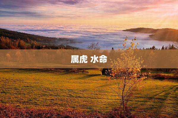 属虎 水命