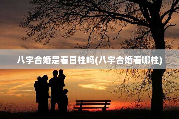 八字合婚是看日柱吗(八字合婚看哪柱)