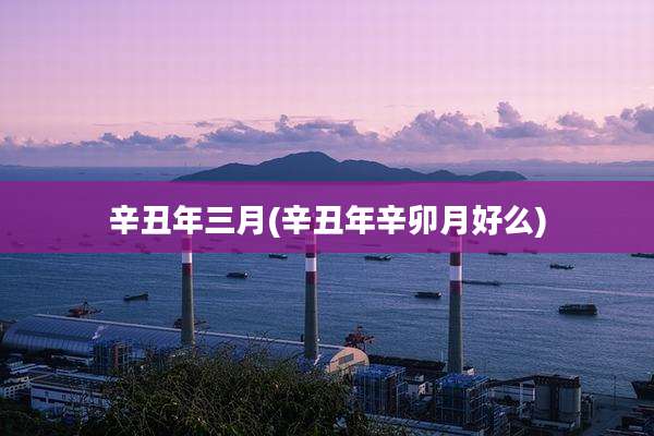 辛丑年三月(辛丑年辛卯月好么)