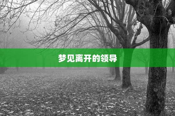 梦见离开的领导