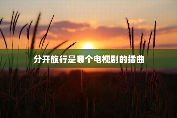 分开旅行是哪个电视剧的插曲
