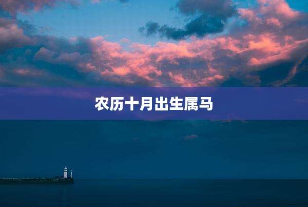 农历十月出生属马