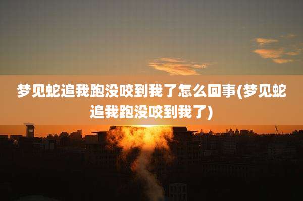 梦见蛇追我跑没咬到我了怎么回事(梦见蛇追我跑没咬到我了)