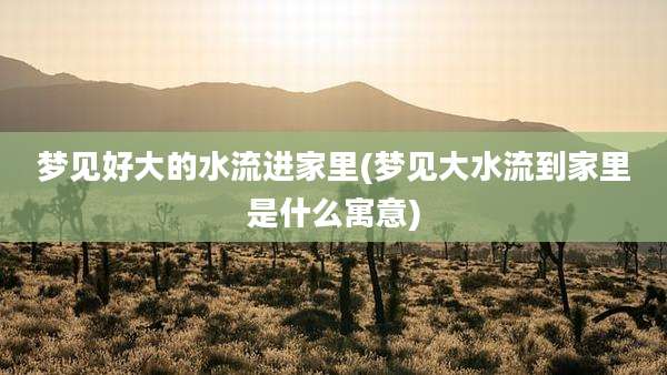 梦见好大的水流进家里(梦见大水流到家里是什么寓意)