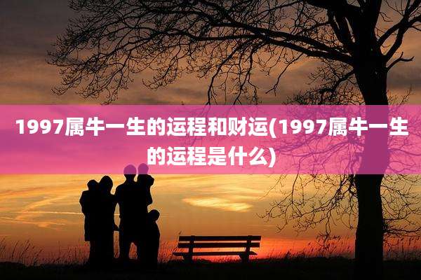 1997属牛一生的运程和财运(1997属牛一生的运程是什么)