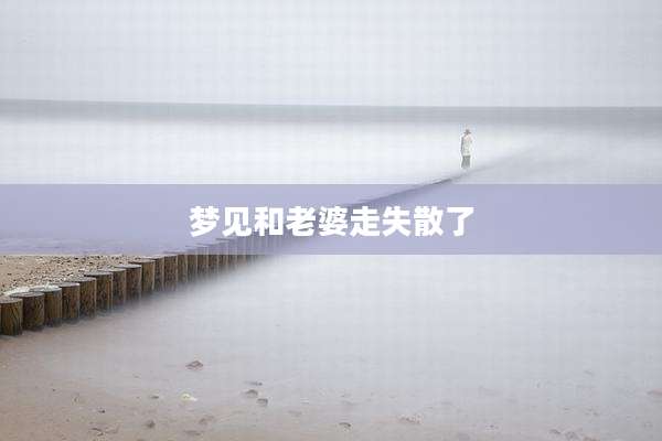 梦见和老婆走失散了