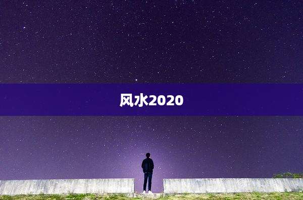 风水2020