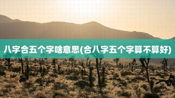 八字合五个字啥意思(合八字五个字算不算好)