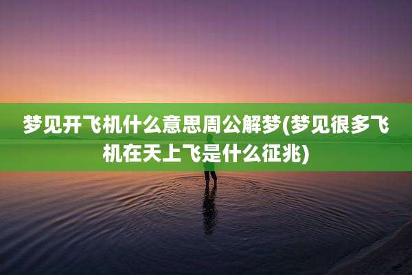 梦见开飞机什么意思周公解梦(梦见很多飞机在天上飞是什么征兆)