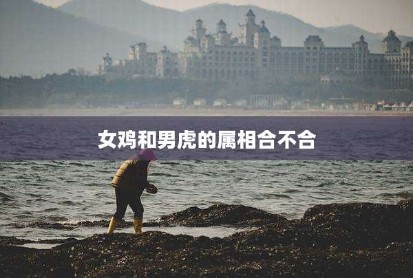 女鸡和男虎的属相合不合