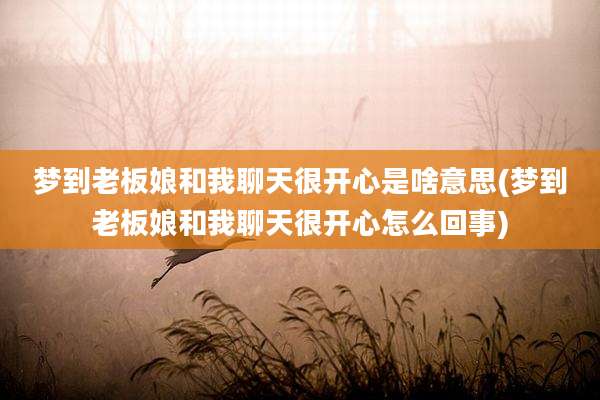 梦到老板娘和我聊天很开心是啥意思(梦到老板娘和我聊天很开心怎么回事)