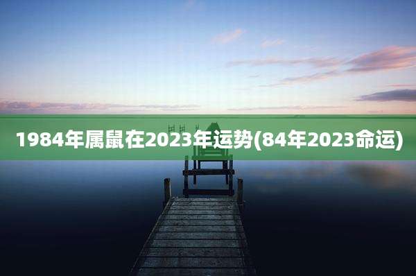 1984年属鼠在2023年运势(84年2023命运)
