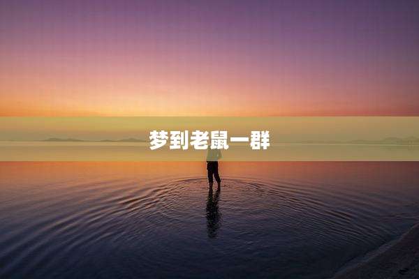 梦到老鼠一群