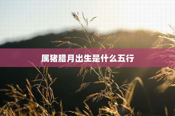 属猪腊月出生是什么五行