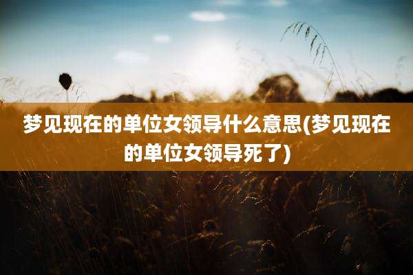 梦见现在的单位女领导什么意思(梦见现在的单位女领导死了)