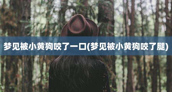 梦见被小黄狗咬了一口(梦见被小黄狗咬了腿)