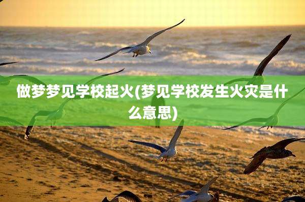 做梦梦见学校起火(梦见学校发生火灾是什么意思)