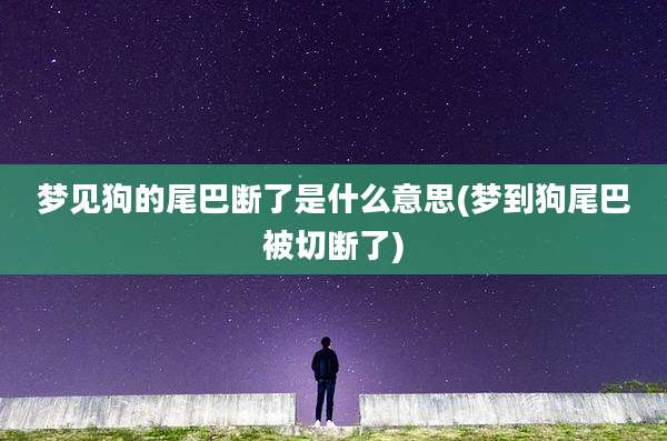 梦见狗的尾巴断了是什么意思(梦到狗尾巴被切断了)