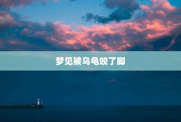 梦见被乌龟咬了脚