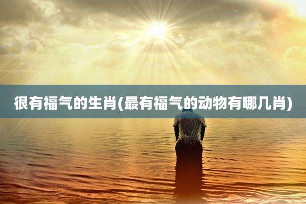 很有福气的生肖(最有福气的动物有哪几肖)