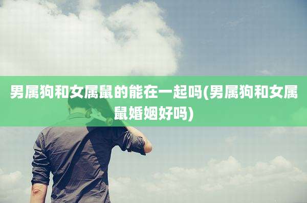男属狗和女属鼠的能在一起吗(男属狗和女属鼠婚姻好吗)