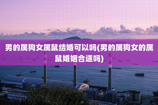 男的属狗女属鼠结婚可以吗(男的属狗女的属鼠婚姻合适吗)