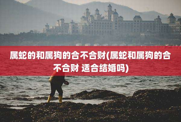属蛇的和属狗的合不合财(属蛇和属狗的合不合财 适合结婚吗)