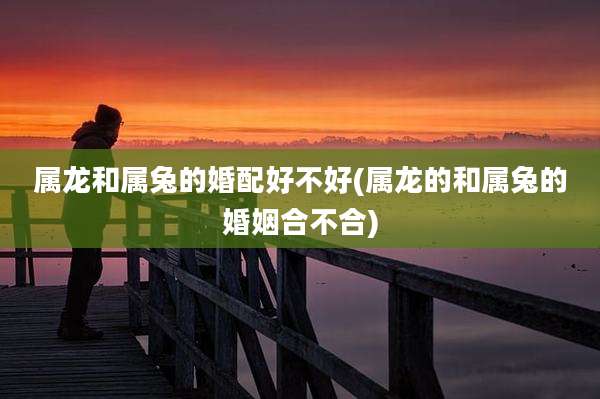 属龙和属兔的婚配好不好(属龙的和属兔的婚姻合不合)