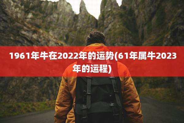 1961年牛在2022年的运势(61年属牛2023年的运程)