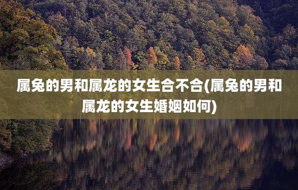 属兔的男和属龙的女生合不合(属兔的男和属龙的女生婚姻如何)