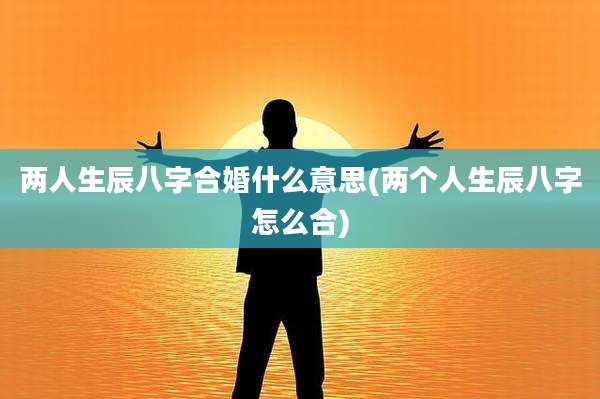 两人生辰八字合婚什么意思(两个人生辰八字怎么合)