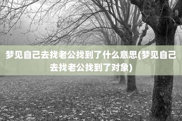 梦见自己去找老公找到了什么意思(梦见自己去找老公找到了对象)