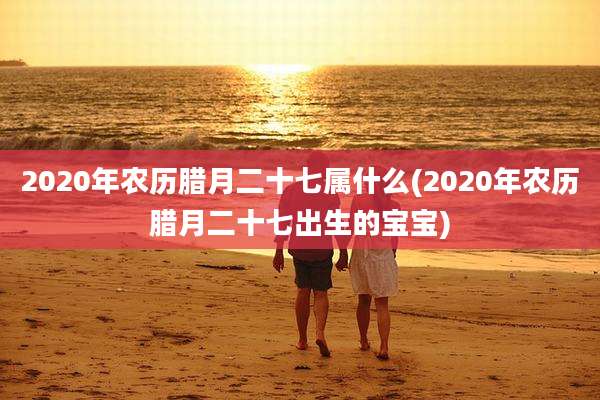 2020年农历腊月二十七属什么(2020年农历腊月二十七出生的宝宝)